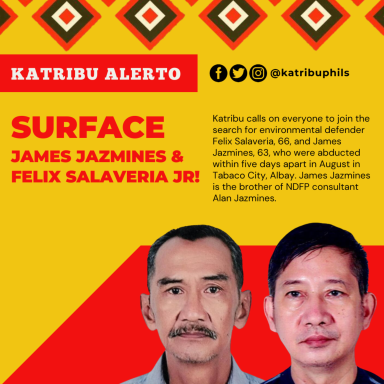 Surface Felix Salaveria Jr! Surface James Jazmines! Stop Enforced Disappearances!